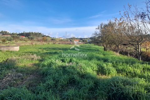 Tomt i Soure, Coimbra, Soure - € 30 000 | Ref: 1650/AV - foto 7