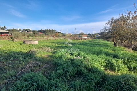 Tomt i Soure, Coimbra, Soure - € 30 000 | Ref: 1650/AV - foto 8