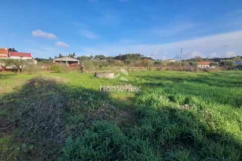 Tomt i Soure, Coimbra, Soure - € 30 000 | Ref: 1650/AV - foto 9