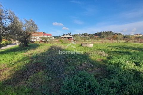 Tomt i Soure, Coimbra, Soure - € 30 000 | Ref: 1650/AV - foto 10