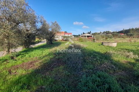 Tomt i Soure, Coimbra, Soure - € 30 000 | Ref: 1650/AV - foto 11