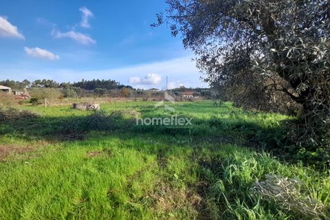 Tomt i Soure, Coimbra, Soure - € 30 000 | Ref: 1650/AV - foto 14