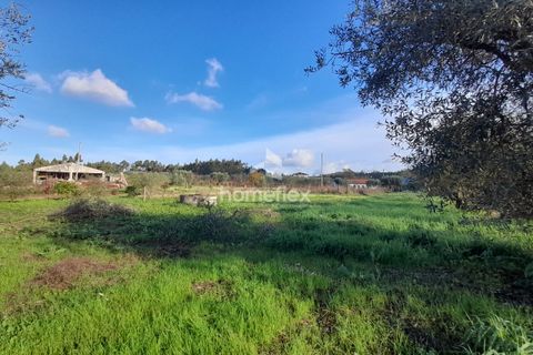 Tomt i Soure, Coimbra, Soure - € 30 000 | Ref: 1650/AV - foto 15