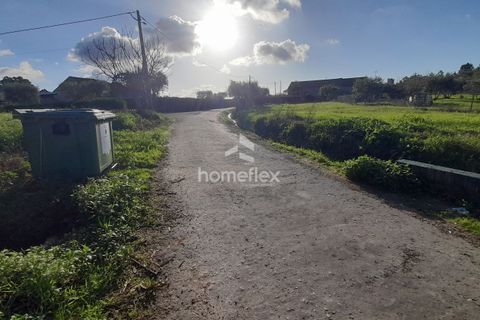 Tomt i Soure, Coimbra, Soure - € 30 000 | Ref: 1650/AV - foto 16