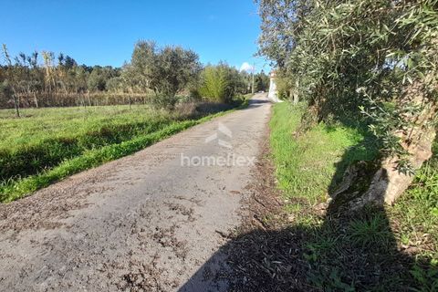 Tomt i Soure, Coimbra, Soure - € 30 000 | Ref: 1650/AV - foto 17