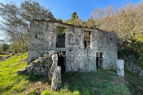 Farm i Sever do Vouga, Aveiro, Sever do Vouga - € 55.000 | Ref: RA20102025 - foto 1