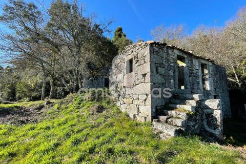 Farm i Sever do Vouga, Aveiro, Sever do Vouga - € 55.000 | Ref: RA20102025 - foto 2