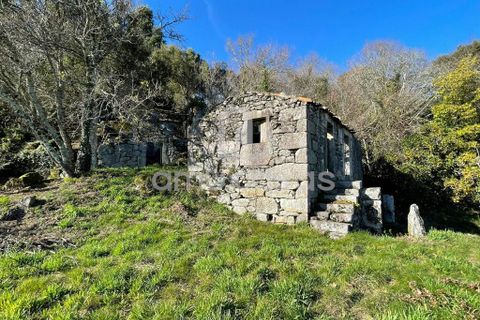 Farm i Sever do Vouga, Aveiro, Sever do Vouga - € 55.000 | Ref: RA20102025 - foto 3