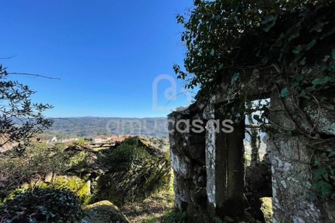 Farm i Sever do Vouga, Aveiro, Sever do Vouga - € 55.000 | Ref: RA20102025 - foto 4