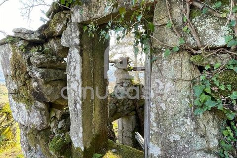 Farm i Sever do Vouga, Aveiro, Sever do Vouga - € 55.000 | Ref: RA20102025 - foto 5