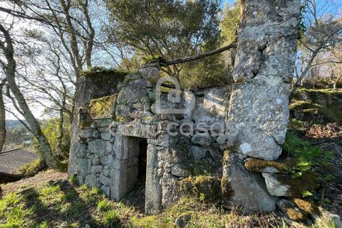 Farm i Sever do Vouga, Aveiro, Sever do Vouga - € 55.000 | Ref: RA20102025 - foto 6