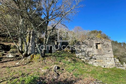 Farm i Sever do Vouga, Aveiro, Sever do Vouga - € 55.000 | Ref: RA20102025 - foto 7