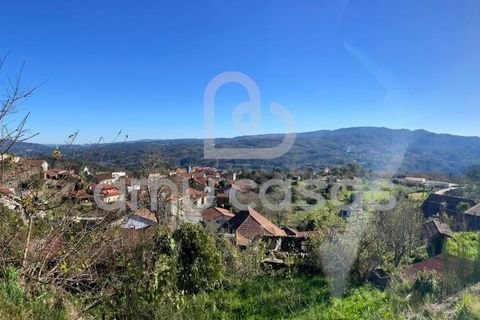 Farm i Sever do Vouga, Aveiro, Sever do Vouga - € 55.000 | Ref: RA20102025 - foto 13