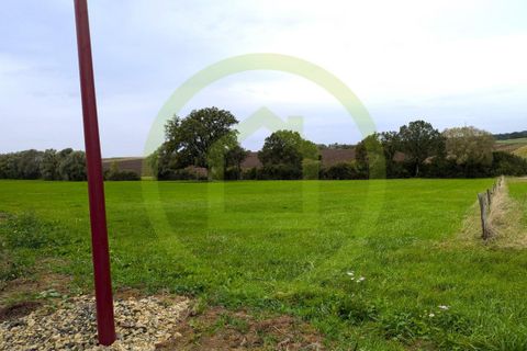 Terra a Rodalbe, Moselle, Rodalbe - € 45.000 | Ref: 3011441730 - foto 2