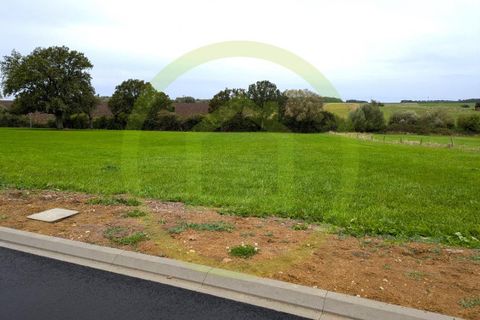 Terra a Rodalbe, Moselle, Rodalbe - € 45.000 | Ref: 3011441730 - foto 4