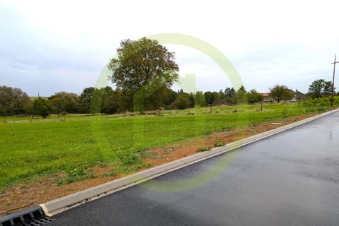 Terra a Rodalbe, Moselle, Rodalbe - € 45.000 | Ref: 3011441730 - foto 5