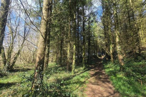 Terra a Silfiac, Morbihan, Silfiac - € 8.000 | Ref: 194159 - foto 2