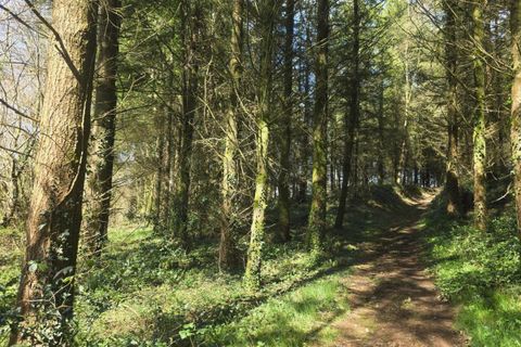 Terra a Silfiac, Morbihan, Silfiac - € 8.000 | Ref: 194159 - foto 3