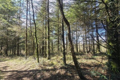 Terra a Silfiac, Morbihan, Silfiac - € 8.000 | Ref: 194159 - foto 4
