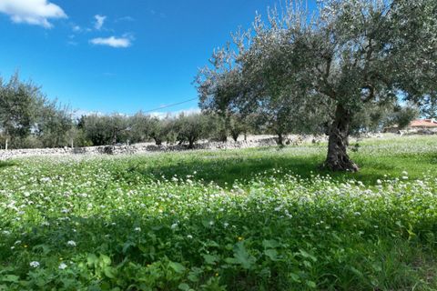 Villa i Modica, Ragusa, Modica - € 77.000 | Ref: EN 09 - foto 16
