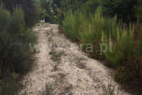 Helårsgrund i Seia, Guarda, Seia - € 55.000 | Ref: 382250115 - foto 2
