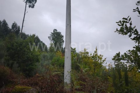 Helårsgrund i Seia, Guarda, Seia - € 55.000 | Ref: 382250115 - foto 4