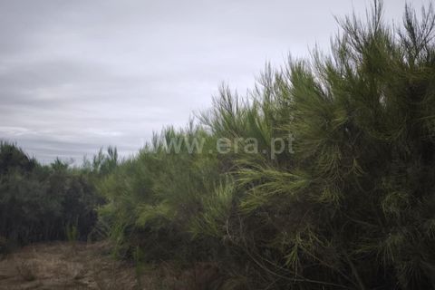Helårsgrund i Seia, Guarda, Seia - € 55.000 | Ref: 382250115 - foto 6