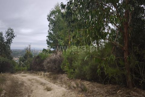 Helårsgrund i Seia, Guarda, Seia - € 55.000 | Ref: 382250115 - foto 7