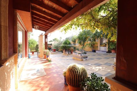 Haus in Algorfa, Alicante, Algorfa - € 549.500 | Ref: VRE-48074 - Foto 46