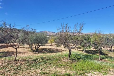 Villa a La Romana, Alicante, La Romana - € 275.000 | Ref: 2477 - foto 15