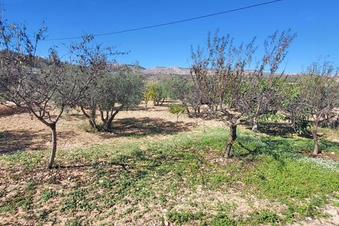 Villa a La Romana, Alicante, La Romana - € 275.000 | Ref: 2477 - foto 16