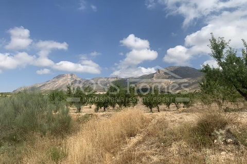 Villa i Velez-Rubio, Almeria, Velez-Rubio - € 149 000 | Ref: VH2644 - foto 8