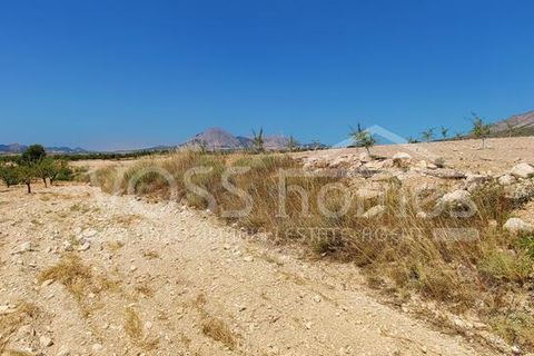 Villa i Velez-Rubio, Almeria, Velez-Rubio - € 149 000 | Ref: VH2644 - foto 22