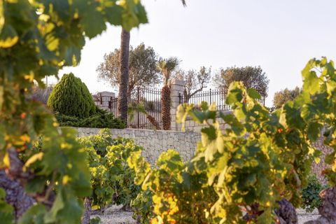 Finca i Moraira, Alicante, Moraira - € 4 200 000 | Ref: 2575V-E - foto 43