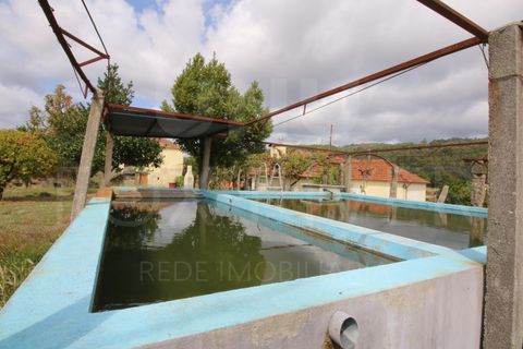 Villa a Paredes de Coura, Viana do Castelo, Paredes de Coura - € 168.000 | Ref: F1-04-25 - foto 3