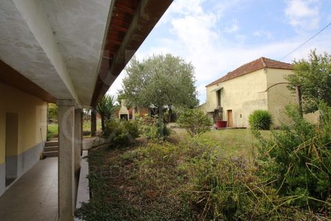 Villa a Paredes de Coura, Viana do Castelo, Paredes de Coura - € 168.000 | Ref: F1-04-25 - foto 21
