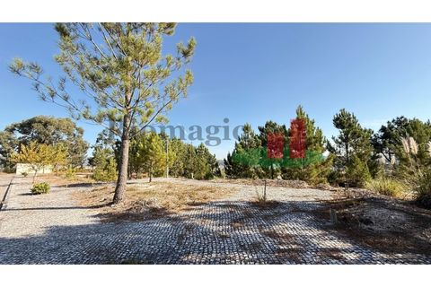 Helårsgrund i Rio Maior, Santarem, Rio Maior - € 55.000 | Ref: 264.25 - foto 4
