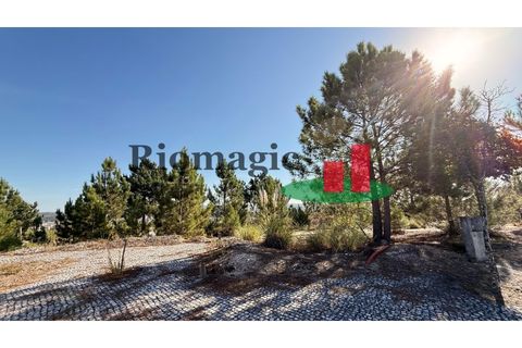 Helårsgrund i Rio Maior, Santarem, Rio Maior - € 55.000 | Ref: 264.25 - foto 7