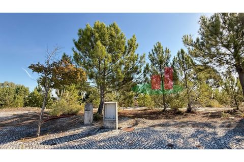 Helårsgrund i Rio Maior, Santarem, Rio Maior - € 55.000 | Ref: 264.25 - foto 9