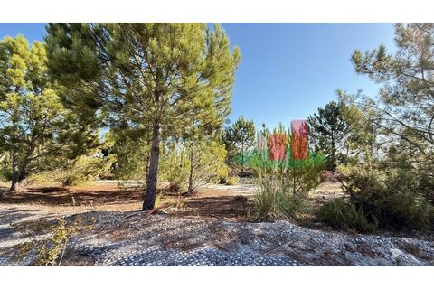 Helårsgrund i Rio Maior, Santarem, Rio Maior - € 55.000 | Ref: 264.25 - foto 10