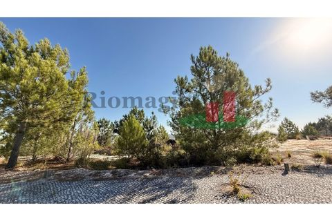 Helårsgrund i Rio Maior, Santarem, Rio Maior - € 55.000 | Ref: 264.25 - foto 11