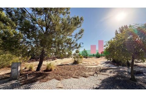 Helårsgrund i Rio Maior, Santarem, Rio Maior - € 55.000 | Ref: 264.25 - foto 13