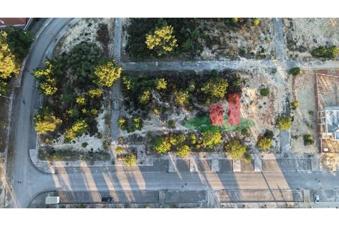 Helårsgrund i Rio Maior, Santarem, Rio Maior - € 55.000 | Ref: 264.25 - foto 27
