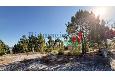 Helårsgrund i Rio Maior, Santarem, Rio Maior - € 55.000 | Ref: 261.25 - foto 4
