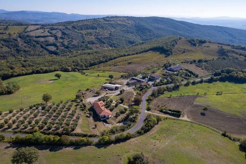 Villa i Scansano, Grosseto, Scansano - € 2.300.000 | Ref: 106 - foto 5