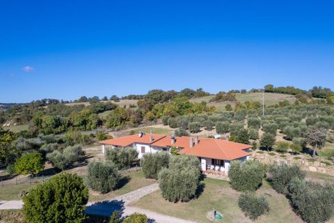 Villa i Scansano, Grosseto, Scansano - € 2.300.000 | Ref: 106 - foto 9