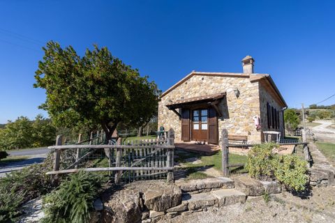 Villa i Scansano, Grosseto, Scansano - € 2.300.000 | Ref: 106 - foto 27