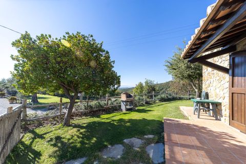 Villa i Scansano, Grosseto, Scansano - € 2.300.000 | Ref: 106 - foto 28