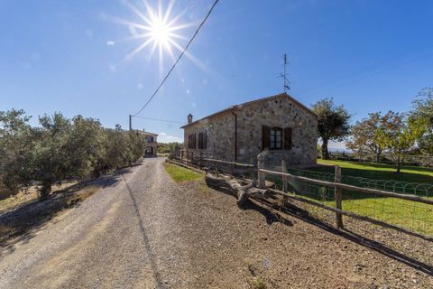 Villa i Scansano, Grosseto, Scansano - € 2.300.000 | Ref: 106 - foto 38