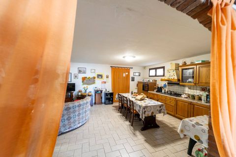 Villa i Scansano, Grosseto, Scansano - € 2.300.000 | Ref: 106 - foto 48